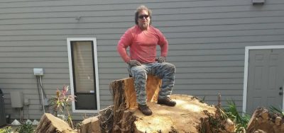 tree trimmming